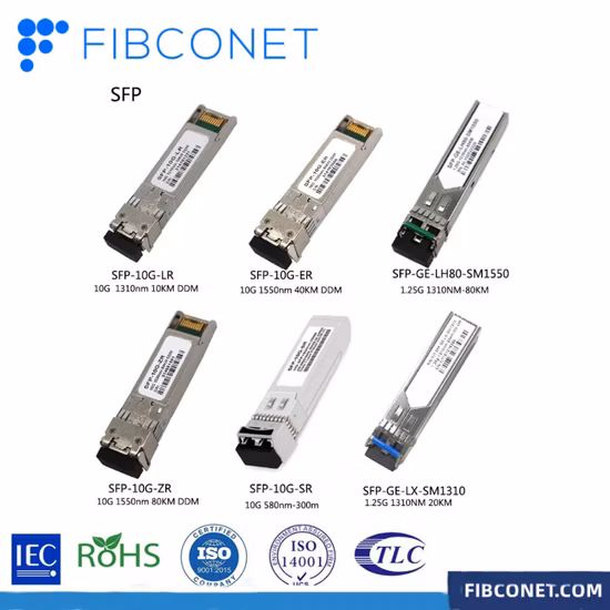 10g 1310nm Lr 광학 단일 모드 광섬유 트랜시버 모듈 SFP